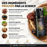 Ingrédients naturels du shampooing colorant